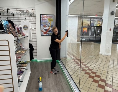 Alejandra Cleaning Services